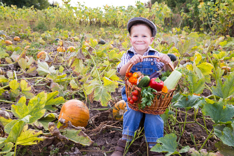 Abonnement Panier d'automne (4 livraisons)