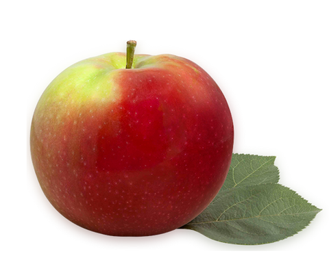 Pommes biologiques